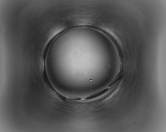 X0000088391317200705221106