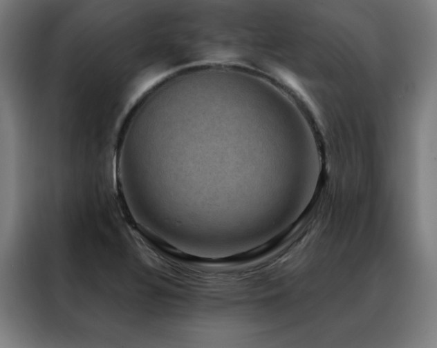 X0000088391320200705221106