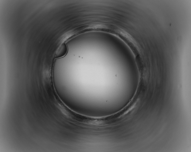 X0000088391321200705221106