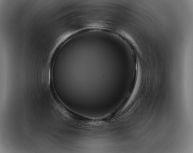 X0000088391323200705221106