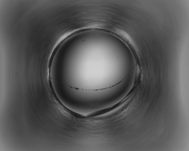 X0000088391324200705221106