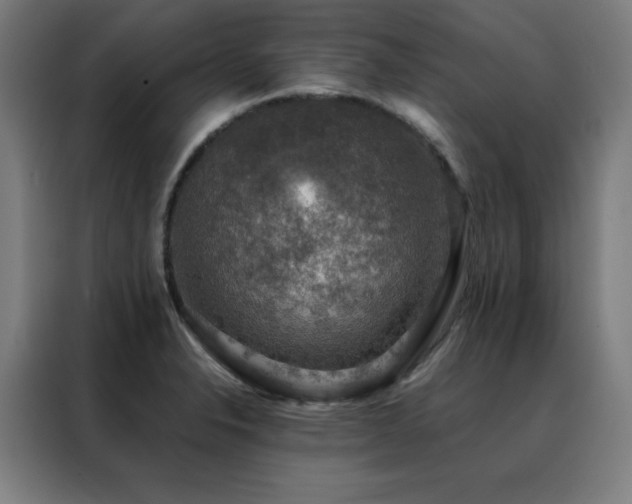 X0000088391326200705221106