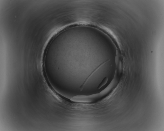 X0000088391327200705221106