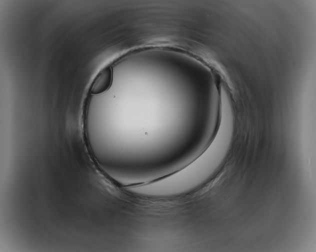 X0000088391328200705221106