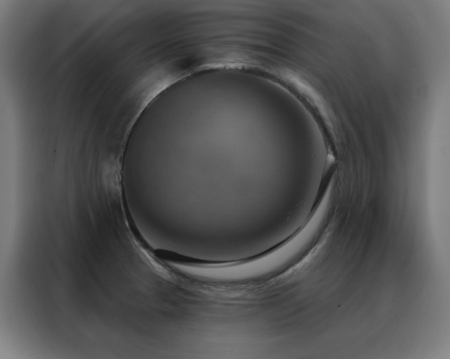 X0000088391329200705221106