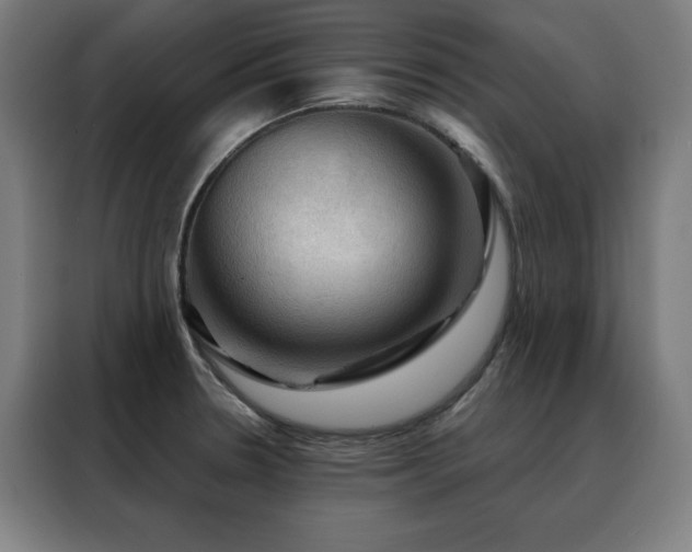 X0000088391330200705221106