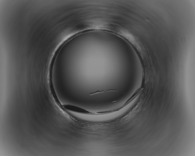 X0000088391331200705221106