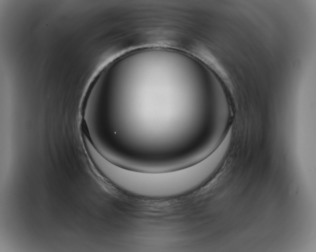 X0000088391332200705221106