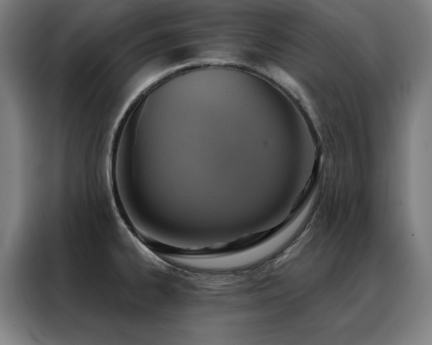 X0000088391334200705221106