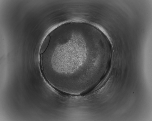 X0000088391335200705221106