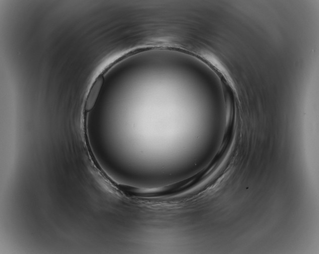 X0000088391336200705221106