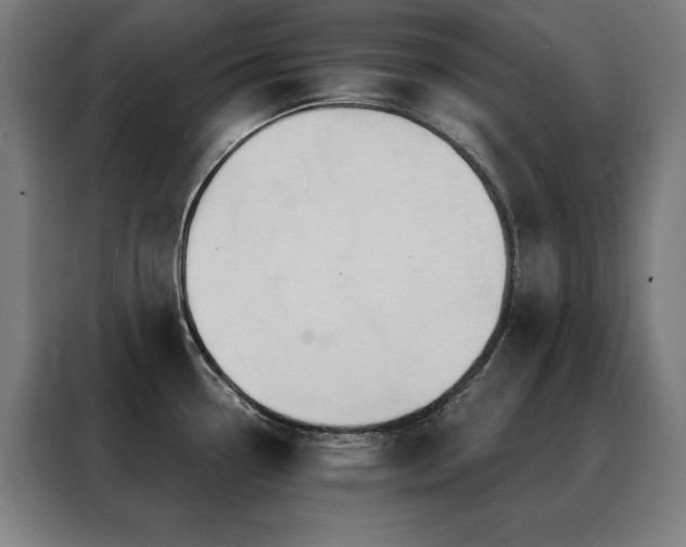 X0000088391338200705221106