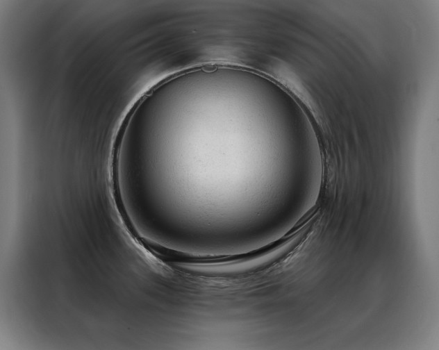 X0000088391339200705221106