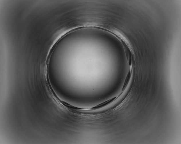 X0000088391340200705221106