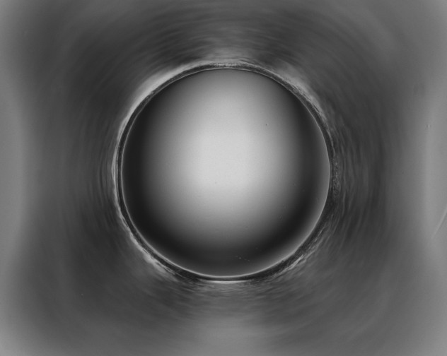 X0000088391343200705221106