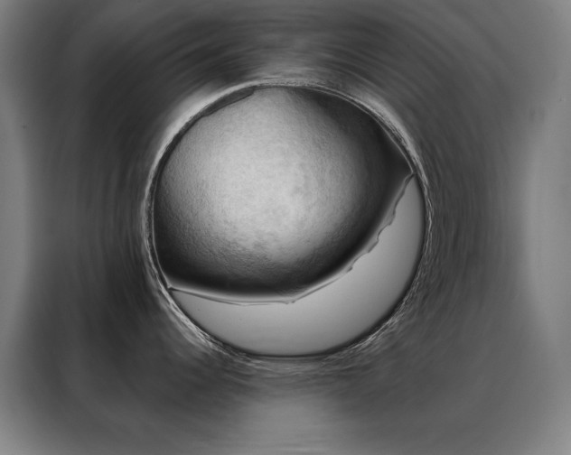 X0000088391344200705221106