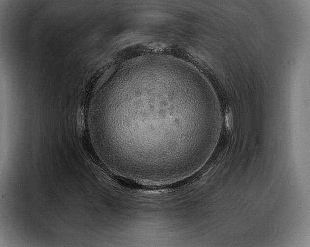 X0000088391347200705221106