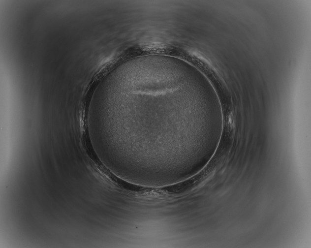 X0000088391348200705221106