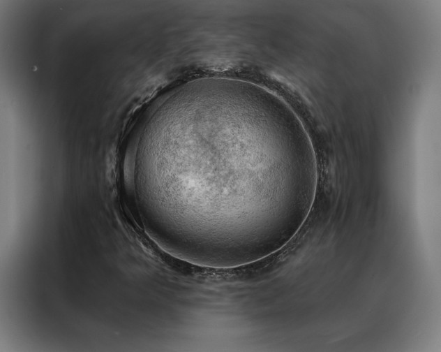 X0000088391349200705221106