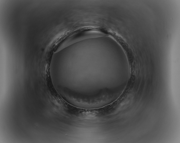 X0000088391351200705221106