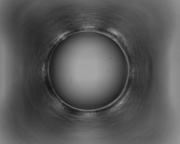 X0000088391353200705221106