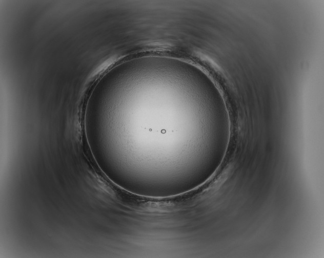 X0000088391354200705221106