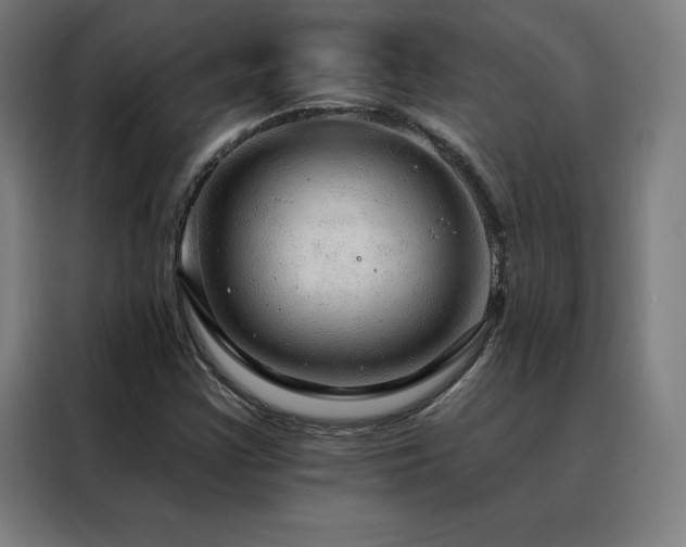 X0000088391355200705221106