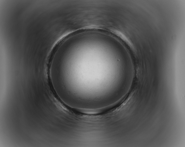 X0000088391356200705221106