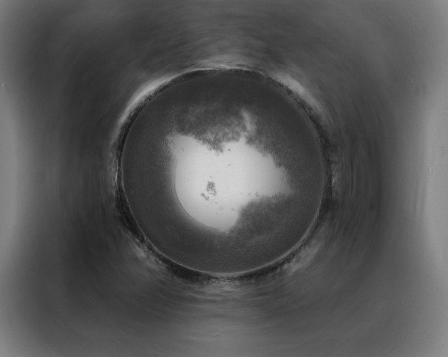 X0000088391358200705221106