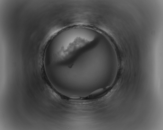 X0000088391359200705221106