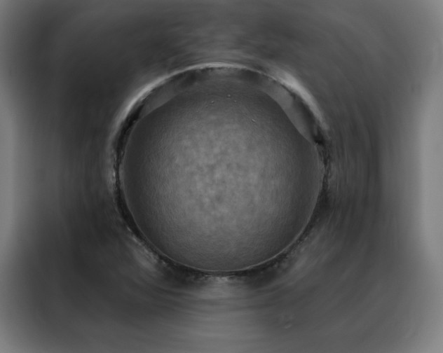 X0000088391360200705221106