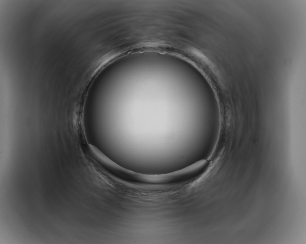 X0000088391361200705221106