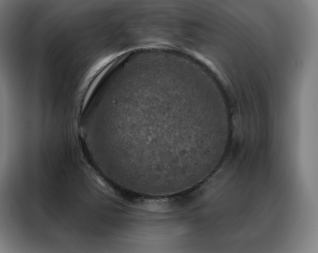 X0000088391363200705221105