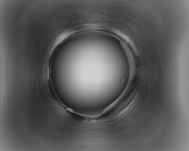 X0000088391365200705221105