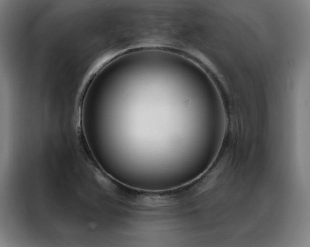 X0000088391366200705221105