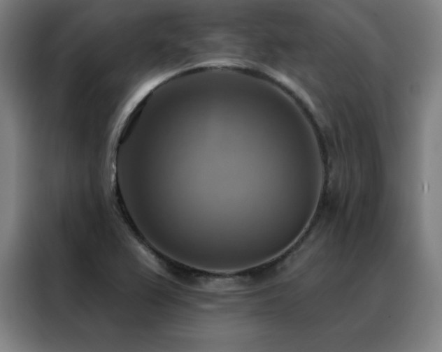 X0000088391367200705221105