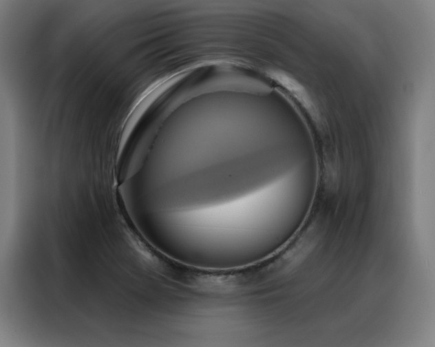 X0000088391369200705221105