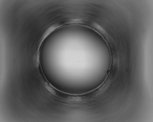 X0000088391370200705221105