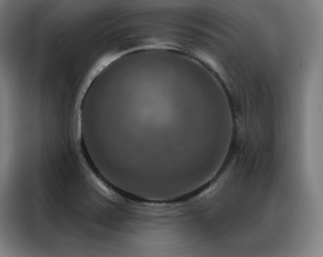 X0000088391371200705221105