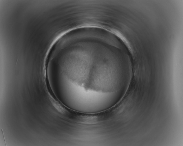 X0000088391372200705221105