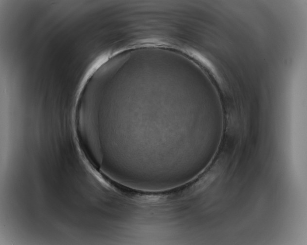 X0000088391373200705221105