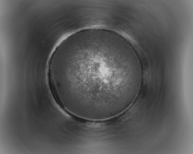 X0000088391374200705221105