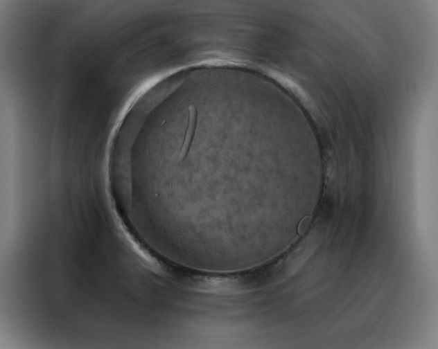 X0000088391375200705221105