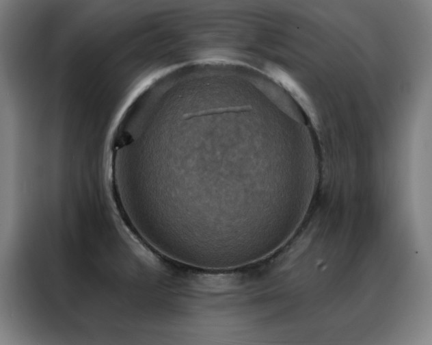 X0000088391376200705221105