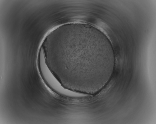 X0000088391379200705221105