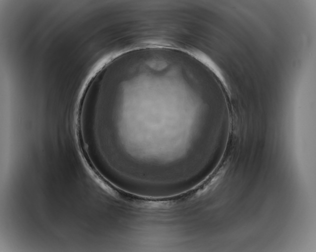 X0000088391381200705221105