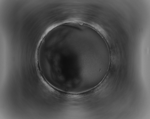 X0000088391382200705221105