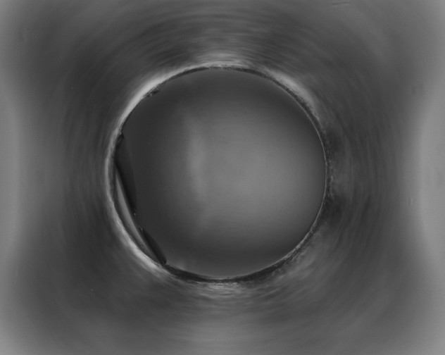 X0000088391383200705221105