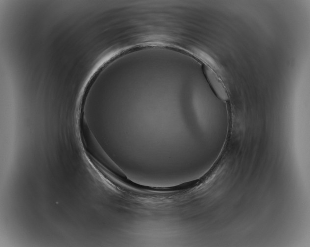 X0000088391384200705221105