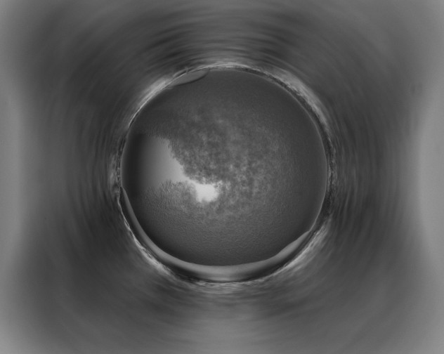 X0000088391385200705221105